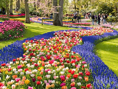 Zaanse Schans, Amsterdam a největší kvetoucí park v Evropě Keukenhof